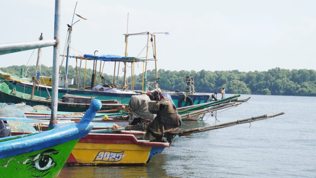 Harbor